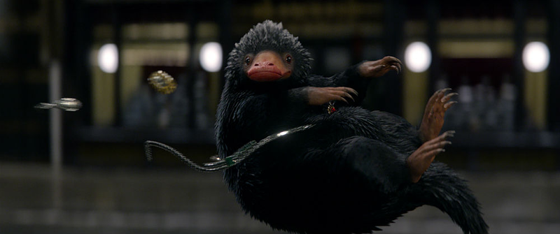 A Niffler, just one of those many Fantastic Beasts.